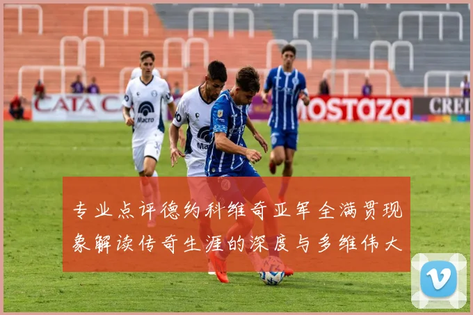 专业点评德约科维奇亚军全满贯现象解读传奇生涯的深度与多维伟大