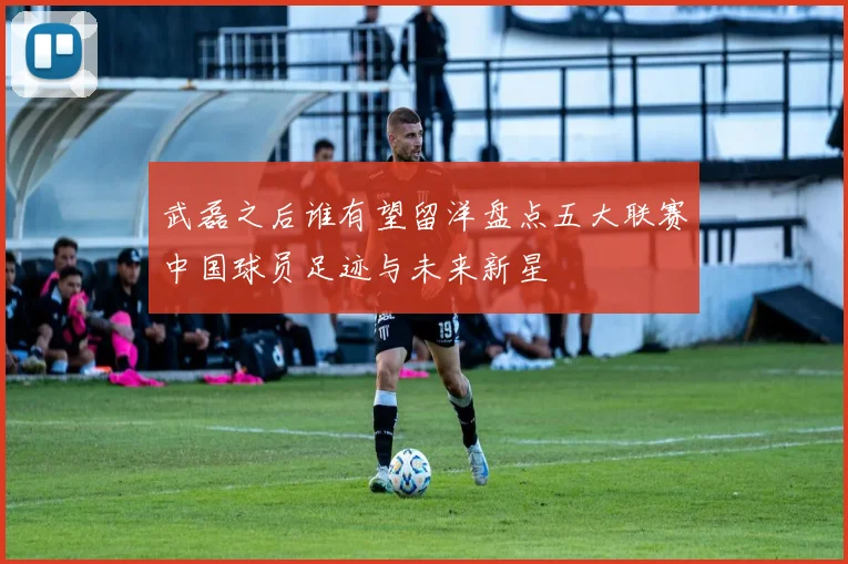 武磊之后谁有望留洋盘点五大联赛中国球员足迹与未来新星